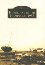 Hurricane in the Hamptons, 1938, (Ny)