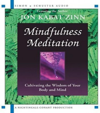 Mindfulness Meditation