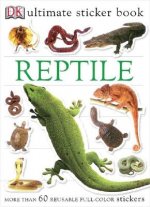 Reptile