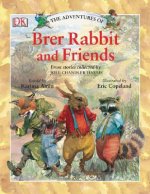 The Adventures of Brer Rabbit And Friends