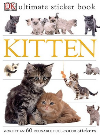 Kitten