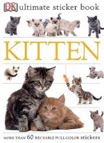 Kitten