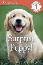 DK READERS L1 SURPRISE PUPPY