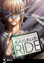 Maximum Ride 3