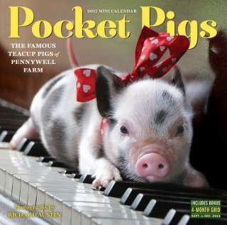Pocket Pigs 2017 Calendar