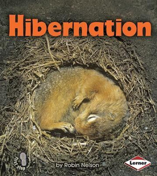 Hibernation