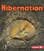 Hibernation
