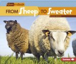 From Sheep To Sweater