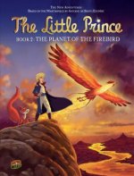 The Little Prince 2