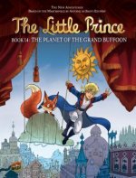 The Little Prince 14