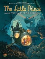 The Little Prince 17
