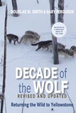 Decade of the Wolf