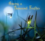 Among a Thousand Fireflies