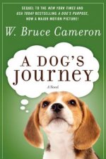 DOGS JOURNEY