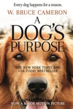 Dog's Purpose