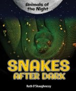 Snakes After Dark
