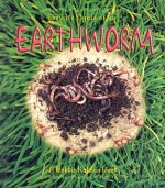 The Life Cycle of an Earthworm