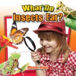 What Do Insects Eat?