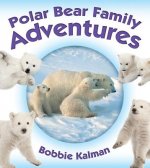 Polar Bear Family Adventures