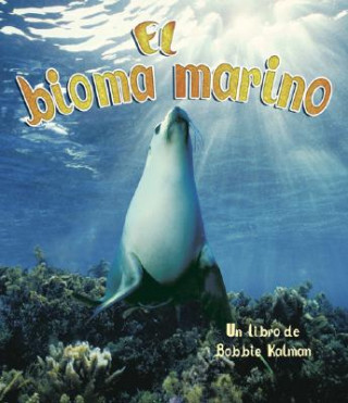 El Bioma Marino/Ocean Biome
