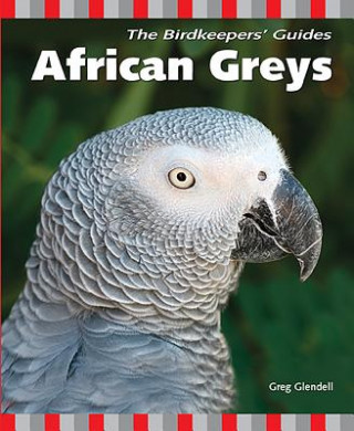 African Greys