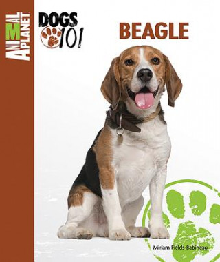 Beagle