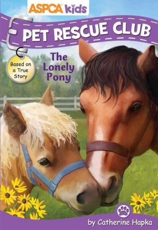 The Lonely Pony