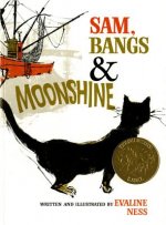 SAM BANGS & MOONSHINE