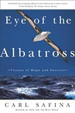 Eye of the Albatross