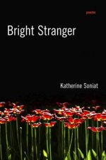Bright Stranger