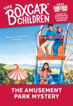 Amusement Park Mystery