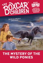 Mystery of the Wild Ponies