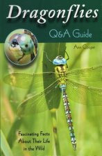 Dragonflies: Q&A Guide