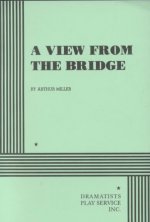 A View from the Bridge