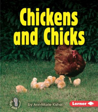 Chickens And Chicks