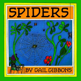 Spiders