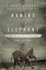 Naming the Elephant - Worldview as a Concept