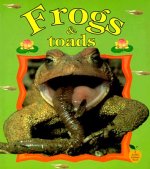 Frogs and Toads