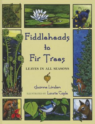 Fiddleheads to Fir Trees