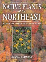 Native Plants Of The Northeast