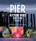 Pier at the End of the World