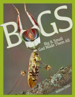 Bugs