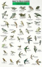 Mac's Field Guide to Northeast Park and Backyard Birds