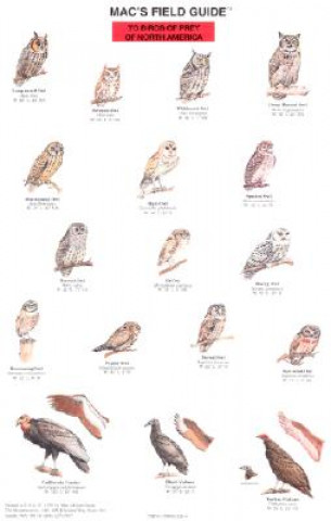 Mac's Field Guide to Birds of Prey of North America