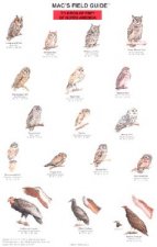 Mac's Field Guide to Birds of Prey of North America