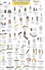 Mac's Field Guide to Bad Garden Bugs of the Southeast
