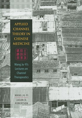Applied Channel Theory in Chinese Medicine