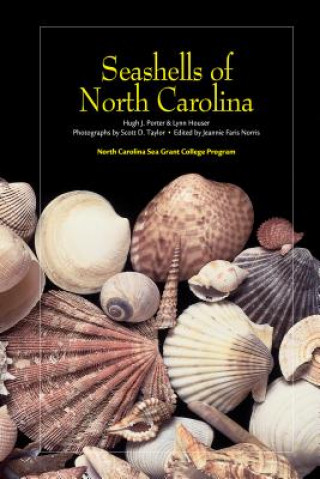 Seashells of North Carolina