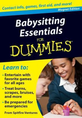 Babysitting Essentials for Dummies Refrigerator Magnet Book