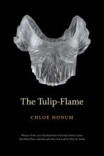 The Tulip-Flame